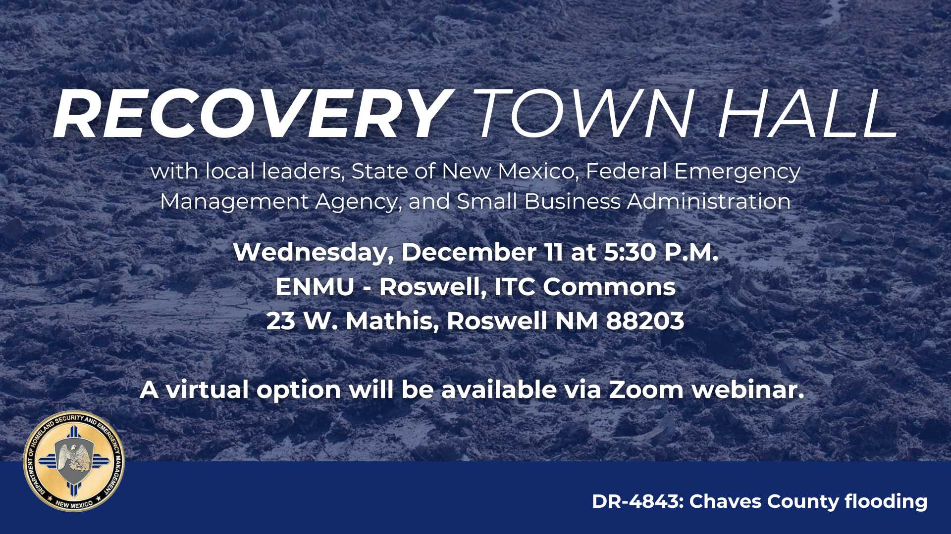 recovery town hall mini 
